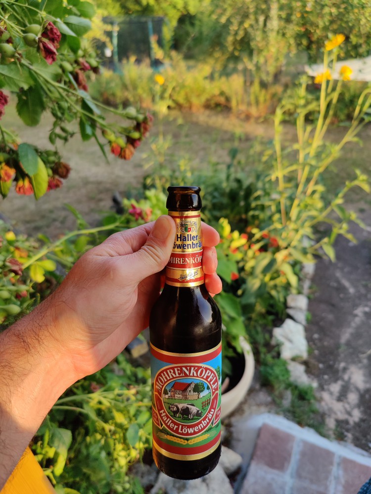 Haller Löwenbräu Mohrenköpfle